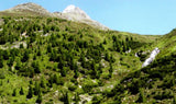 Alle Rechte vorbehalten Walter Prayer, Tirol