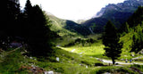 Alle Rechte vorbehalten Walter Prayer, Tirol
