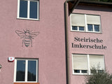 Lindenhonig aus der Steiermark